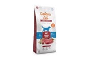 Hunde - Calibra Dog Life Adult Medium Fresh Beef - dry dog food - 12kg - 8595706701211