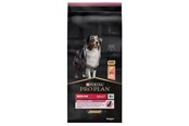 Hunde - PURINA NESTLE Medium Adult Sensitive Skin 14 kg Salmon - 7613035120464