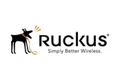 Service & support - Ruckus Wireless Ruckus BullDog Support - S24-VSZD-1LUL