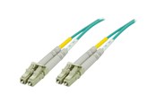 Netværkskabel - Deltaco network cable - 10 m - 10 m - 10m - LCLC-610
