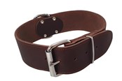 Hunde - Nobby Halsbånd TABIL ekstra bred 65 cm (48-58 cm) 50 mm - L80934-03