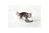 Katte - Nobby Drikke fontæne Cascade 1.5 L - L72144