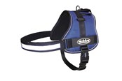 Hunde - Nobby Sele SEGURO Blå - M-L - L80582-06