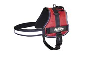 Hunde - Nobby Sele SEGURO Rød - M-L - L80582-01