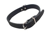 Hunde - Nobby Halsbånd TABIL 50 cm (41-46 cm) 20 mm Sort - L80923-05