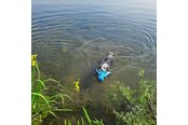 Hunde - Nobby Blæksprutte Floating - L62516