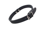 Hunde - Nobby Halsbånd TABIL 40 cm (31-36 cm) 16 mm Sort - L80921-05