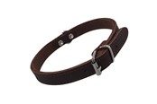 Hunde - Nobby Halsbånd TABIL 40 cm (31-36 cm) 16 mm Brun - L80921-03
