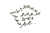 Boligindretning - Bloomingville Cedar - 82072373