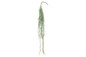 Boligindretning - Bloomingville Tilandsia - 82061497