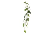 Boligindretning - Bloomingville Anthurium - 82061498