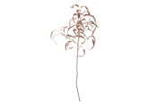 Boligindretning - Bloomingville Eucalyptus - 82061470