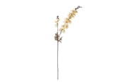 Boligindretning - Bloomingville Larkspur - 82061480