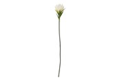 Boligindretning - Bloomingville Lily - 82061508