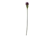 Boligindretning - Bloomingville Lily - 82061512