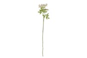 Boligindretning - Bloomingville Fennel - 82061513