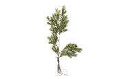 Boligindretning - Bloomingville Pine - 82072352