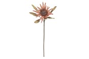 Boligindretning - Bloomingville Protea - 82072832