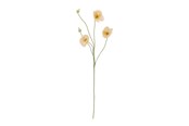Boligindretning - Bloomingville Poppy - 82072833