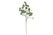 Boligindretning - Bloomingville Eucalyptus - 82072835