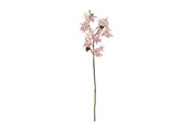 Boligindretning - Bloomingville Chrysantemum - 82072846