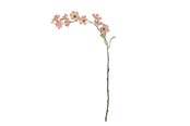 Boligindretning - Bloomingville Wild Cherry - 82072852