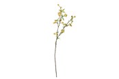 Boligindretning - Bloomingville Hawthorn - 82061509
