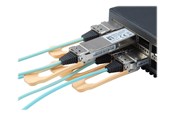 Netværkskabel - LevelOne 100GBase-AOC direct attach cable - 2 m - Blå - 2m - AOC-0502