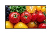 Digital skiltning & Hotel - Neovo AG QM5503 QM Series - 55" Class (54.6" viewable) LED-backlit LCD display - 4K - for digital signage - QM5530011M0000