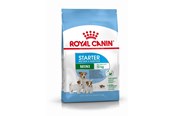 Hunde - Royal CANINE STARTER Mini 4 kg - 3182550932707
