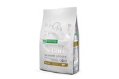 Hunde - Nature's Protection Superior Care White Dogs Grain Free Adult Small Lamb - dry dog food - 4 kg - 4771317458339