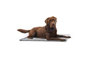 Hunde - KRUUSE Vet Bed, skridsikker, grå, 100 x 75 cm - 381615