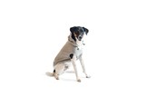 Hunde - Chill Kuzzi Beroligende Hoodie 25 cm grå - 380429