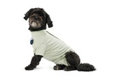 Hunde - KRUUSE BUSTER Body Suit Step´n Go til hunde, S, Dusty Gree - 273741