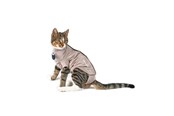 Katte - KRUUSE BUSTER Body Suit Step'n Go til kat, XXXS - 273946