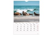Calendar - Mayland Vægkalender Verdens dyr 2027 - 27066330