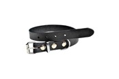 Hunde - Timely PRAG Halsbånd Sort 25 mm. / 60 cm. - 5907784897121