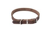 Hunde - Timely PRAG Halsbånd Mørkebrun 20 mm. / 55 cm. - 5907784897015