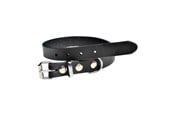 Hunde - Timely PRAG Halsbånd Sort 12 mm. / 25 cm. - 5907784920522