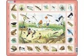 Puslespil - Larsen Puzzles Nature Puzzle: Pond – 48 pieces Maxi (36.5 x 28.5 cm) 2D Puslespil - NA3
