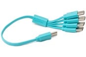 USB kabel - paleblue Pale Blue Cable USB-C to USB-C 4 charging ports 1 - PB-USBCL-4C