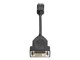 Skærmkabel - HP DisplayPort til DVI-D-kabel - FH973AA