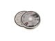 Vinkelsliber - Bosch Skæreskive lige Standard for Inox - Rapido - 2608603255