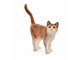 Schleich - Schleich kat - 13836