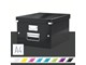 Arkivering & Opbevaring - Leitz Opbevaringsboks  Click & Store WOW Medium Sort - 60440095