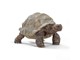 Schleich - Schleich Kæmpeskildpadde - 14824