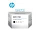 Blæk, Toner & Forbrugsstoffer - HP 6ZA17AE / Black Printhead - 6ZA17AE