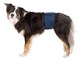 Hunde - Trixie Washable Nappies for Male Dogs S-M Waist 37-45cm - TX23662