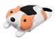 L_MM_PUP
