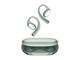 CT02 green